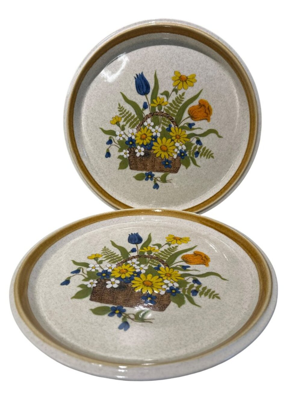 Vintage Mikasa Stone Manor Set Of 2 Dinner Plates “Garden Bouquet” F5815